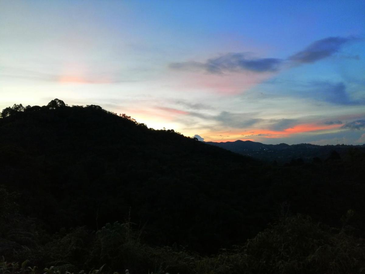 Glamping La Montana Sagrada Hotel Medellín Kültér fotó